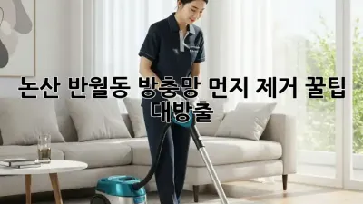 논산 반월동 방충망 먼지 제거, 꿀팁 대방출! ✨